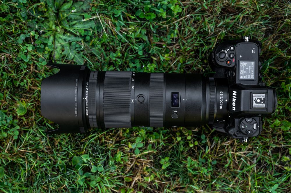 Review: The Nikon Z 70-200mm 2.8 VR S for wildlife photogragphy